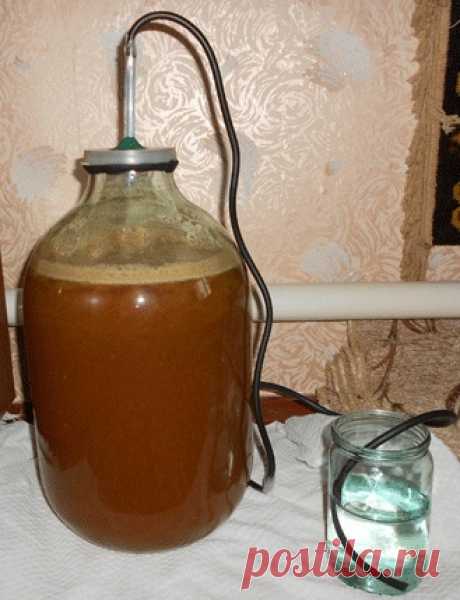 Домашний кальвадос – рецепт и технология приготовления