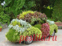 Оригинальные цветники.
