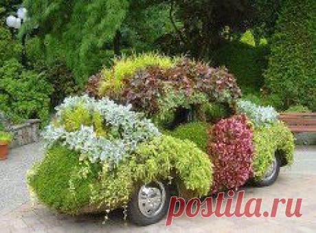 Оригинальные цветники.