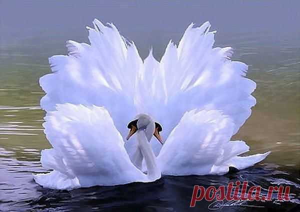 Интересные новости