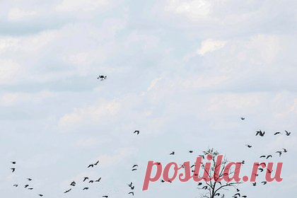 Морпех рассказал о смене тактики ВСУ в Сумской области