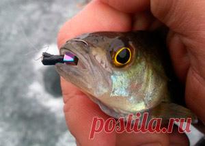 Рыбалка видео: Мормышка «гвоздекубик»