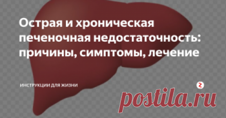 Острая и хроническая печеночная недостаточность: причины, симптомы, лечение Отравление ядовитыми растениями или химикатами, хронические болезни или длительный прием сильнодействующих лекарств, все эти факторы негативно отражаются на важнейшем органе пищеварительной системы – печени. Постепенное отмирание гепатоцитов (печеночных клеток) приводит к ухудшению, а затем и частичной  потере функциональности органа.
Расстройство одной или всех функций печени на языке специалисто
