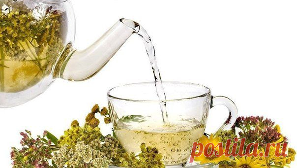 5 рецептов чая для похудения