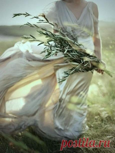 Прощать, это сложно,
Порой невозможно обиду забыть,
И ноет душа и болит так тревожно, 
Когда человека не можешь простить. 

Но время проходит, 
И боль вдруг уходит, исчезнув совсем, 
Но только не каждому так удается, 
Обиду извлечь насовсем. 

Годами хранится в душе, проростая, 
И душу сжигая, до уголька, 
Обида простая, откуда взялась никто и не знает, 
Возникшая из пустяка. 

Когда-то дружили, 
А может любили   и пили вино, 
Но в сердце обида таится, как видно, 
Дружить ...