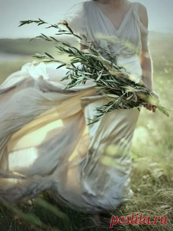 Прощать, это сложно,
Порой невозможно обиду забыть,
И ноет душа и болит так тревожно, 
Когда человека не можешь простить. 

Но время проходит, 
И боль вдруг уходит, исчезнув совсем, 
Но только не каждому так удается, 
Обиду извлечь насовсем. 

Годами хранится в душе, проростая, 
И душу сжигая, до уголька, 
Обида простая, откуда взялась никто и не знает, 
Возникшая из пустяка. 

Когда-то дружили, 
А может любили   и пили вино, 
Но в сердце обида таится, как видно, 
Дружить ...