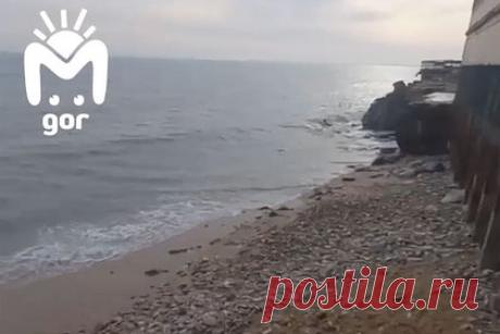 Исчезнувшую после соревнований в Дагестане студентку начали искать водолазы. В дагестанском городе Каспийске водолазы начали искать 22-летнюю студентку из Ростова-на-Дону, которая пропала после проигрыша на спортивных соревнованиях. Об этом сообщил Telegram-канал Mash Gor. По данным издания, сотрудники стали прочесывать море, на берегу которого очевидцы видели россиянку.