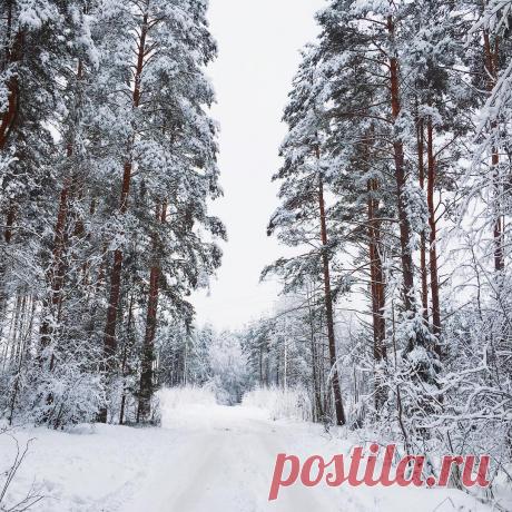 Доброе утро, моя родина
Боровичи
_petrov_d_