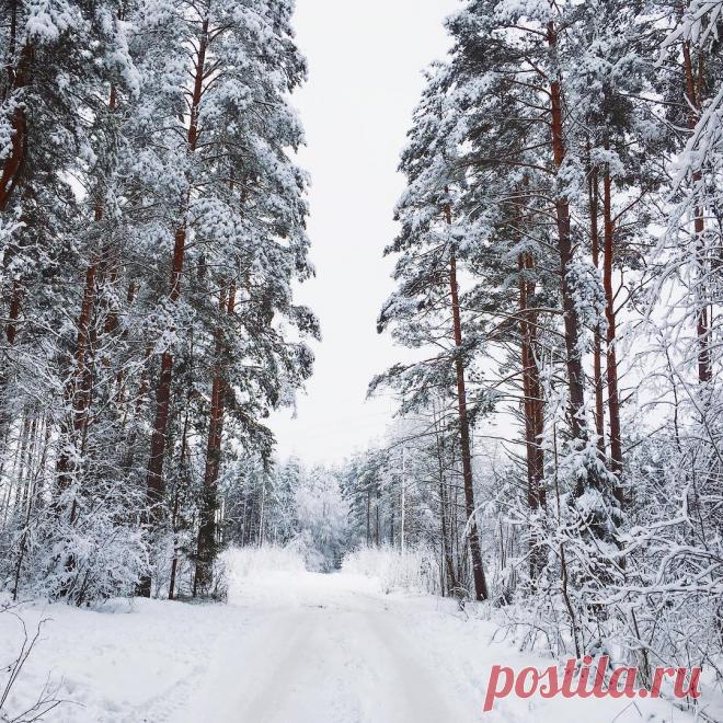 Доброе утро, моя родина 

 Боровичи
 _petrov_d_