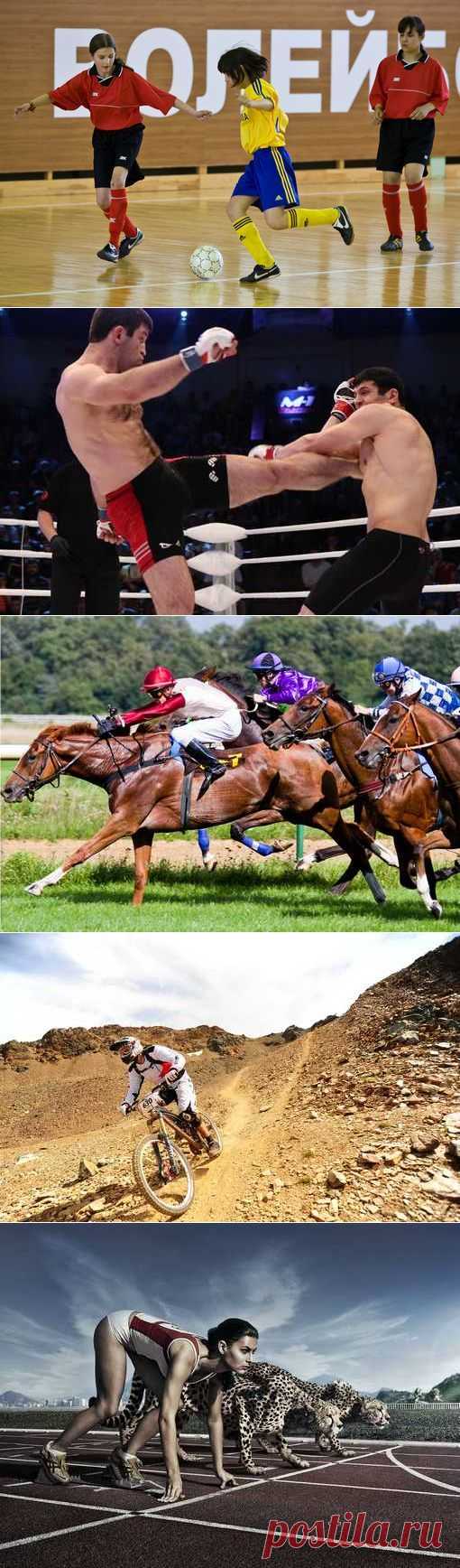 Картинг, Танцевальный спорт, Хоккей, Борьба греко-римская. (1/1) - Спортивный форум. - Спортивный сайт