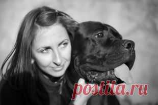 «Воспитывайте не собаку, а себя!» Зоопсихолог – о том, как понять питомца | ОБЩЕСТВО | АиФ Камчатка