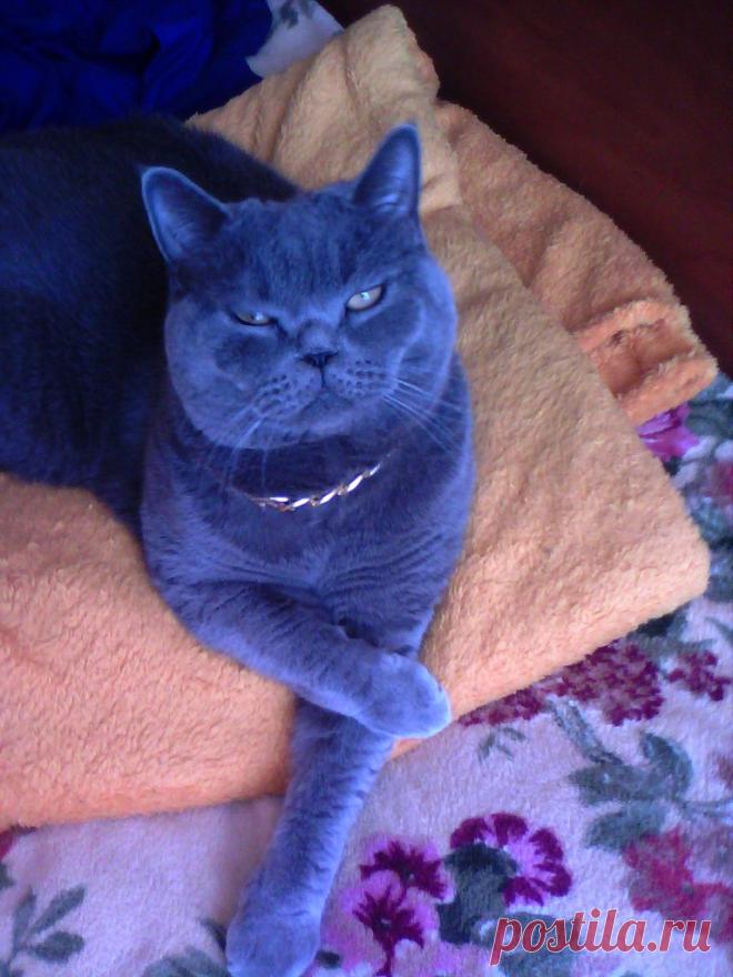 Умный дом. Полезные советы!