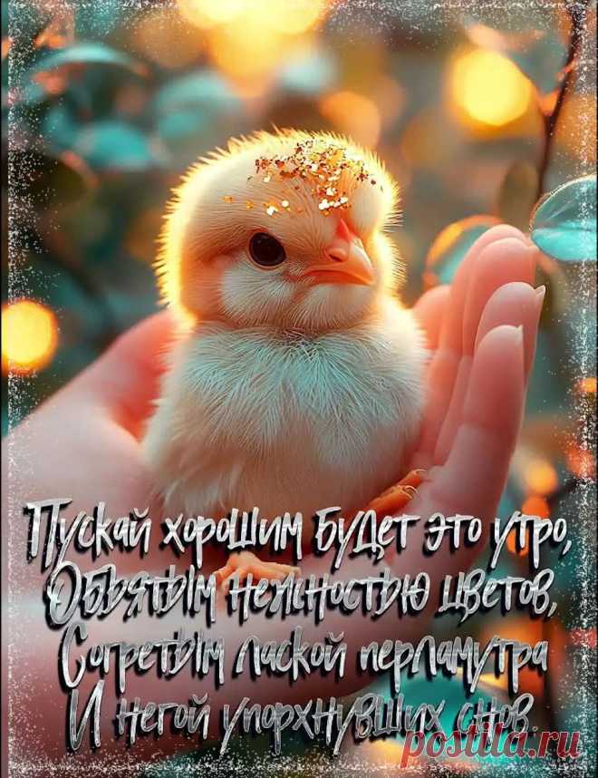 Картинка доброе утро красивая с пожеланием