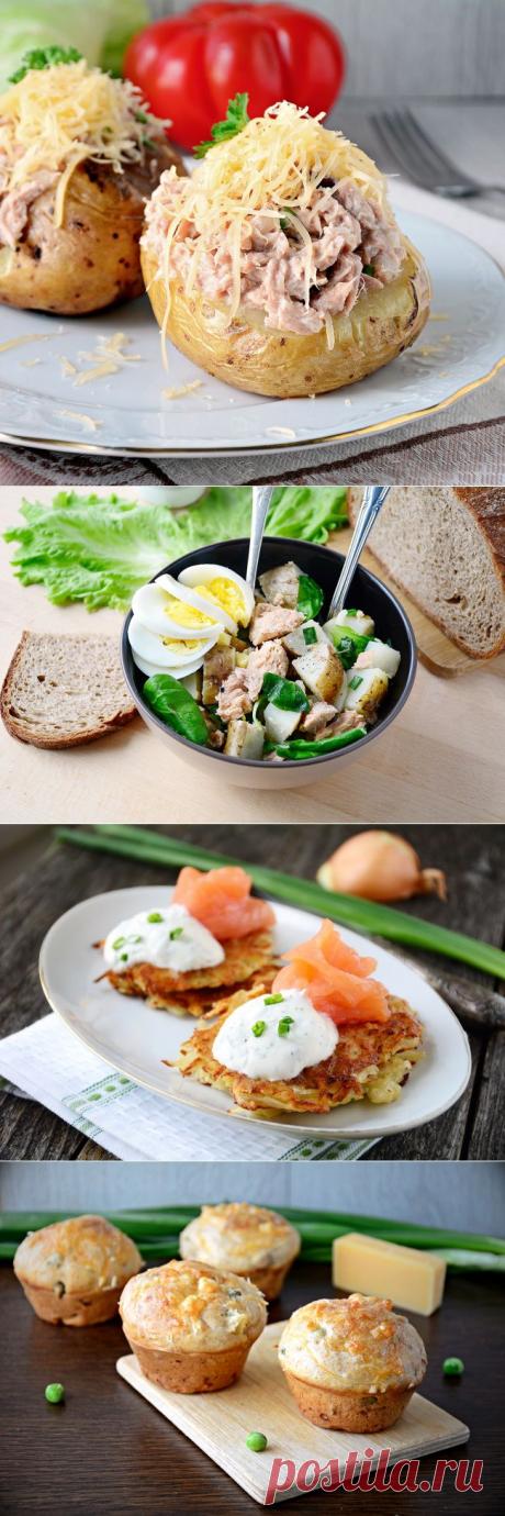 Готовим из молодых овощей: 5 рецептов из картофеля.