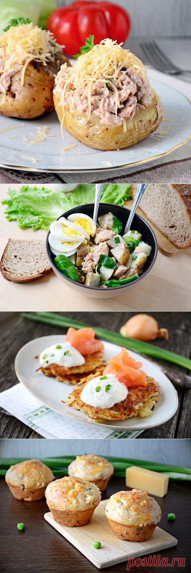 Готовим из молодых овощей: 5 рецептов из картофеля.