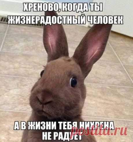 Эти приколы