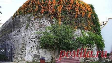 Руины замка Сан-Луис - Эстепона, Коста-дель-Соль. Обзор, фотографии, история достопримечательности