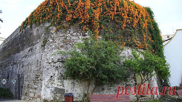 Руины замка Сан-Луис - Эстепона, Коста-дель-Соль. Обзор, фотографии, история достопримечательности