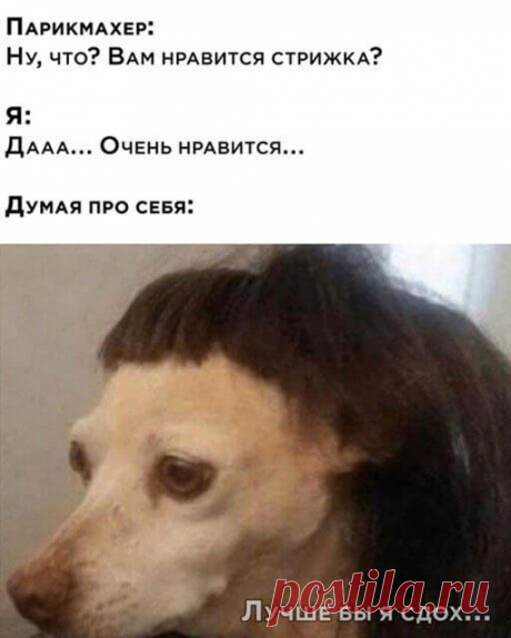 И смешно, и интересно!