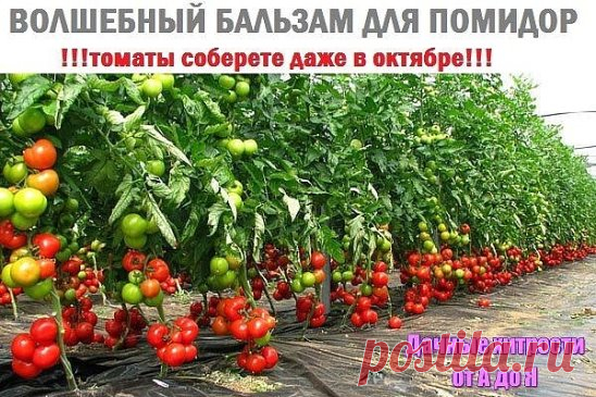 (14) Одноклассники