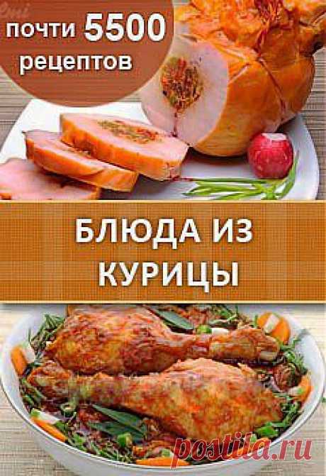курица