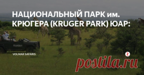 НАЦИОНАЛЬНЫЙ ПАРК им. КРЮГЕРА (KRUGER PARK) ЮАР: На территории ЮАР находится множество природных заповедников, и национальных парков самый крупный из которых - Национальный заповедник им. Крюгера, или Крюгер Парк (Kruger Park). Он расположен в северо-восточной части ЮАР, меньше чем в часе полета от Йоханнесбурга, этот огромный заповедник протянулся на много миль вдоль границы с Мозамбиком. На его территории обитает множество диких животных, в то