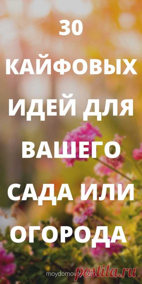 Садовые идеи для двора частного дома | Домовой  -#ландшафтный дизайн участка  #ландшафтный дизайн участка своими руками #ландшафтный дизайн участка перед домом #ландшафтный дизайн участка идеи #ландшафтный дизайн участка 6 соток