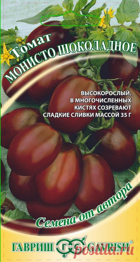 Монисто шоколадное томат Огород без хлопот - информационный сайт для дачников, садоводов и огородников.
