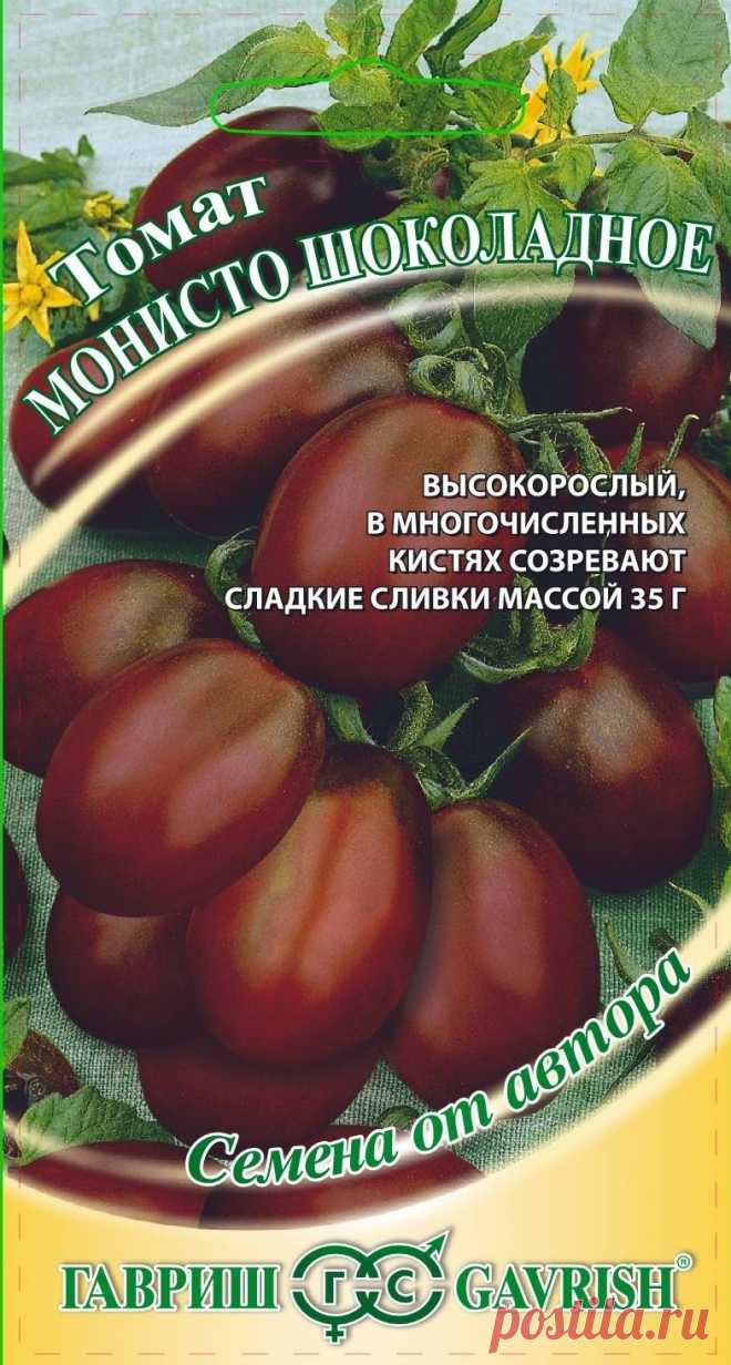 Монисто шоколадное томат Огород без хлопот - информационный сайт для дачников, садоводов и огородников.