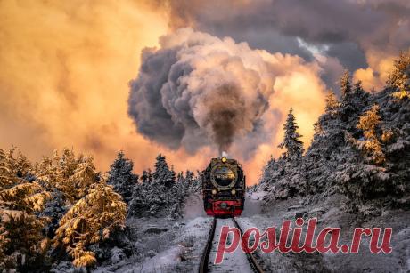 133514.jpg (1500×1000)