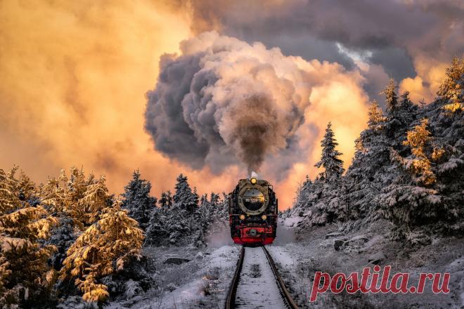 133514.jpg (1500×1000)