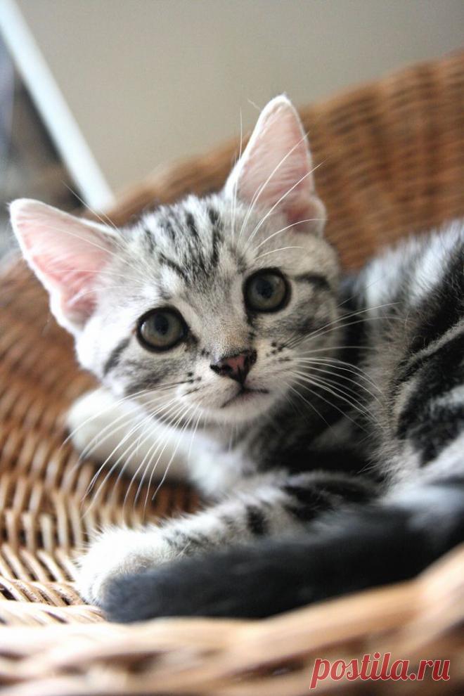 aniki | Flickr - Photo Sharing!