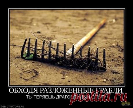 Супер Лев - 49 лет на Мой Мир@Mail.ru