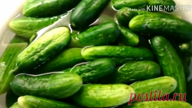Мой самый лучший рецепт маринованных огурцов (без уксуса) и очень простой | Людмила Плеханова Готовим вместе | Яндекс Дзен