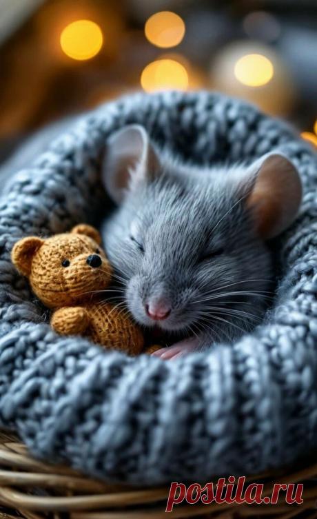 Изображение пина-истории