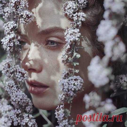 R O S E W A T E R