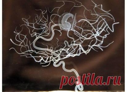 Как развить неограниченные возможности мозга?