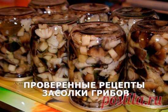 ЯБЛОЧНЫЙ УКСУС ОТ СОСУДИСТЫХ ЗВЕЗДОЧЕК НА НОГАХ
Состав:
1/2 стакана натурального (лучше домашнего) яблочного уксуса;
Приготовление: Яблочный уксус должен быть приятной комнатной температуры.
Применение: Небольшое количество яблочного уксуса налить в ладони и легкими втирающими движениями наносить на чистую сухую кожу ног - на область сосудистых звездочек.
Втирающие движения должны производится снизу-вверх, до легкого тепла, но без сильного нажима.
Проводить процедуру в течении 3-8 минут ежедневн