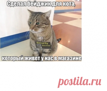 Выпуск №6962 - выпуск анекдотов сайта вокруг смеха