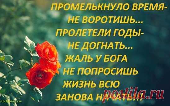 Годы пролетают словно птицы, Только между ними разница одна. Птицы возвращаются обратно - Годы не вернутся Никогда!
