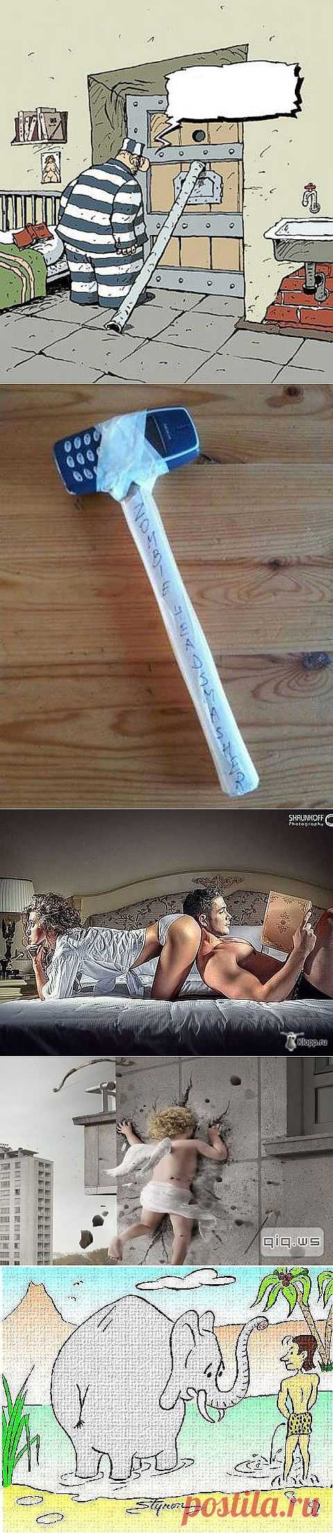 «Придумаем смешные подписи к фото - 3» ПОДВОДИМ ИТОГИ. | ПРИСТАНЬ ОПТИМИСТОВ