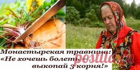 Советы монастырской травницы | Полезные советы
