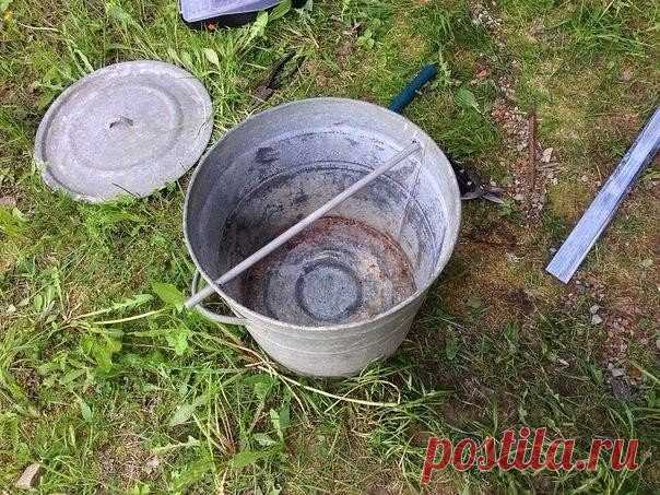 * * * * * * * * * * * *