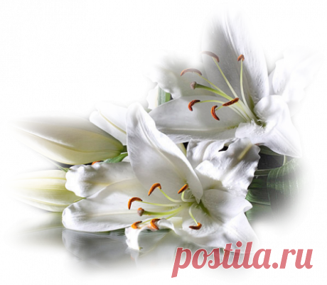 Плейкаст «&amp;~* С днём рожденья ,милая ! *~&amp;»