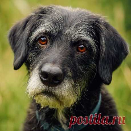 Любовь по наследству - OGADANIE.RU