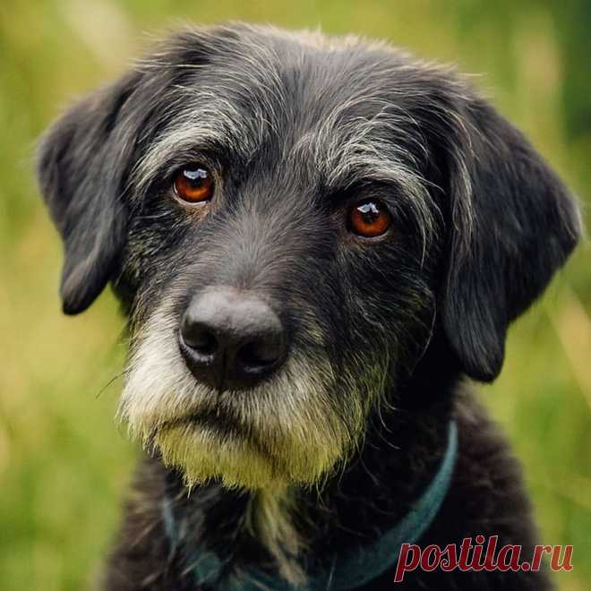 Любовь по наследству - OGADANIE.RU