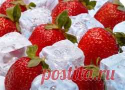Как заморозить клубнику с сахаром на зиму?