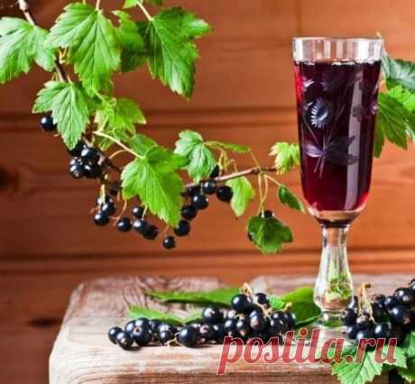 Настойка из черной смородины - 10 домашних рецептов (с фото)