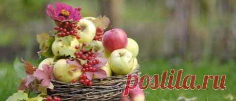 Яблочный Спас в 2020 году: какого числа, дата, традиции и приметы