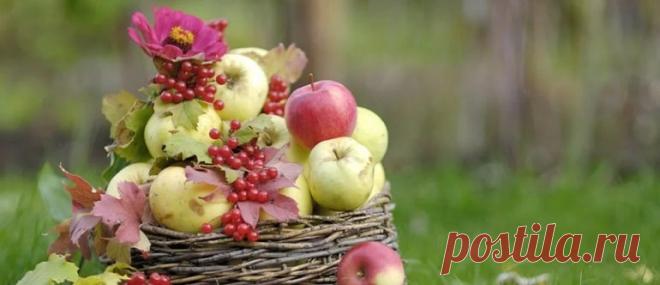 Яблочный Спас в 2020 году: какого числа, дата, традиции и приметы